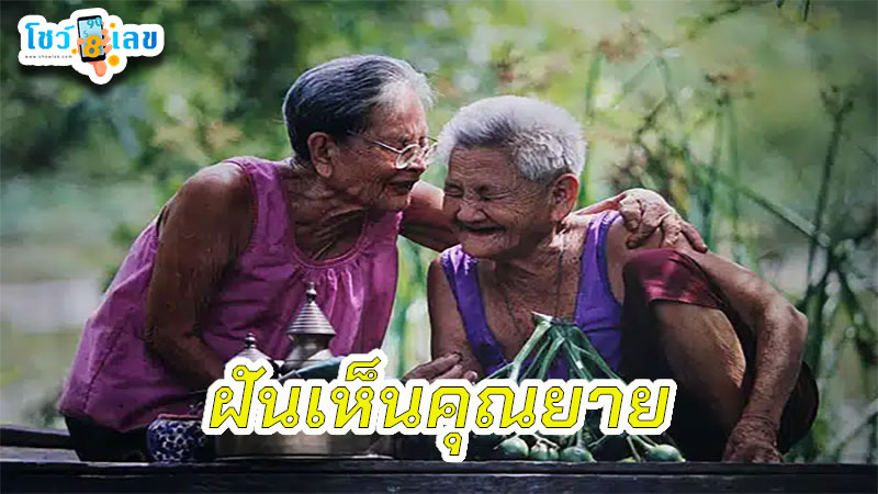 ฝันเห็นยายที่เสียไปแล้ว-"Dreamed of seeing my grandmother who had passed away."