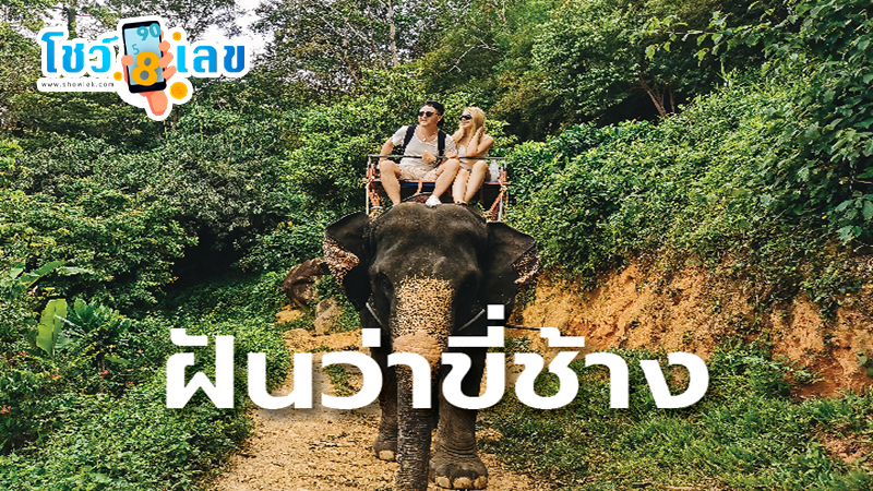 ฝันว่าได้ขี่ช้าง-"Dreamed-that-you-were-riding-a-big-elephant"