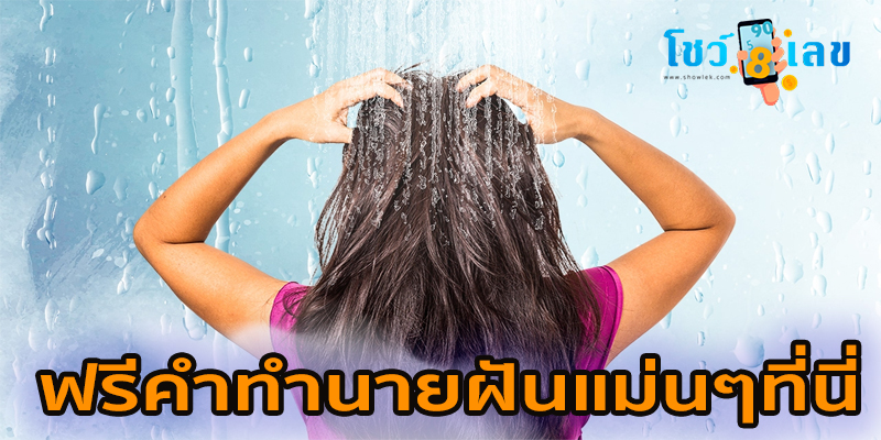 ฝันว่าตัวเองสระผมเลขเด็ด-"Dreamed that you were washing your hair, lucky number"
