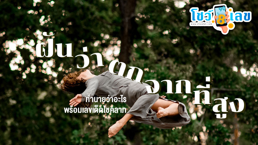 ฝันว่า ตกจากที่สูง-"Dreaming of falling from a height Then I woke up, what was the cause"