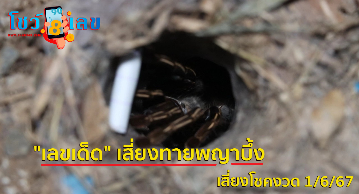 คอหวยรอตั้งแต่เช้าจนมืดค่ำ ไม่ผิดหวังได้ “เลขเด็ด” เสี่ยงทายพญาบึ้ง งวด 1/6/67