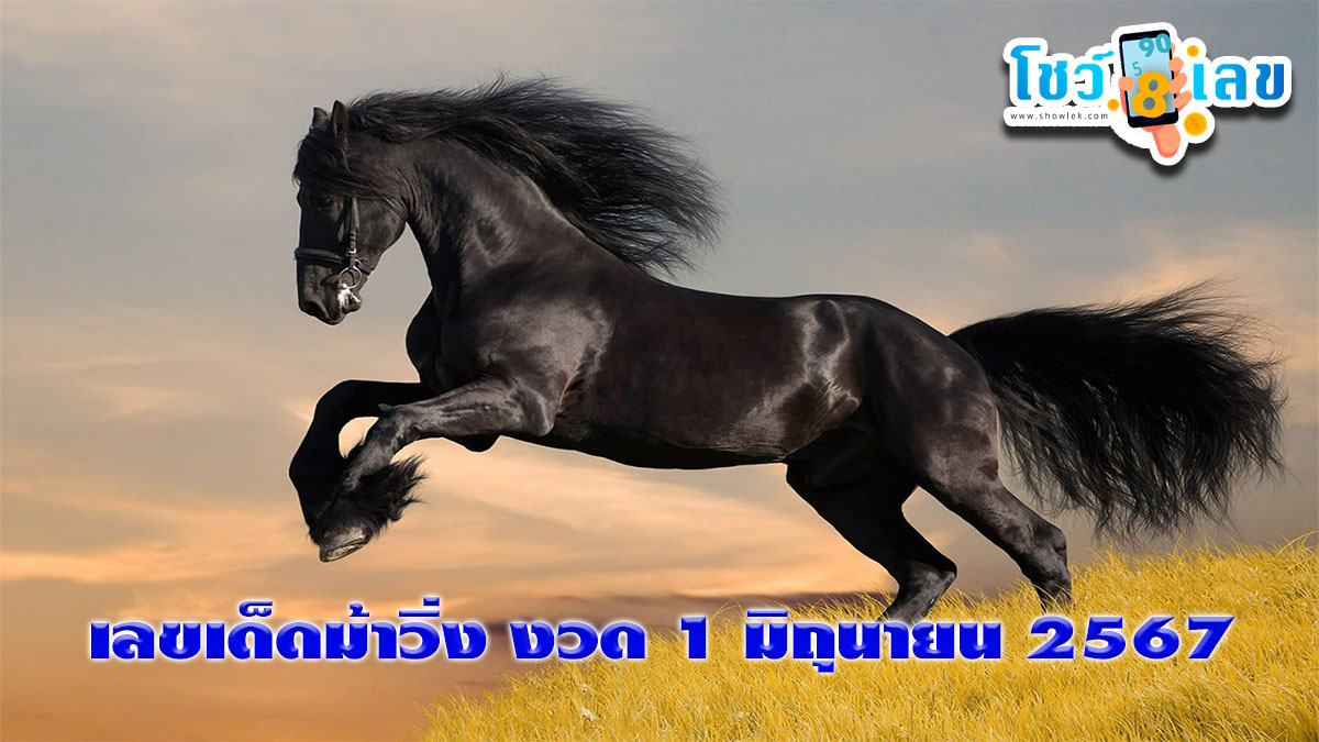 เลขม้าวิ่ง 1 6 67 แนวทางหวยรัฐบาลไทยงวดนี้ คอหวยไม่ควรพลาด !! ไปดูกันเลย ว่ามีเลขอะไรบ้าง ติดตามเลขเด็ดเลขดัง ได้ที่ showlek