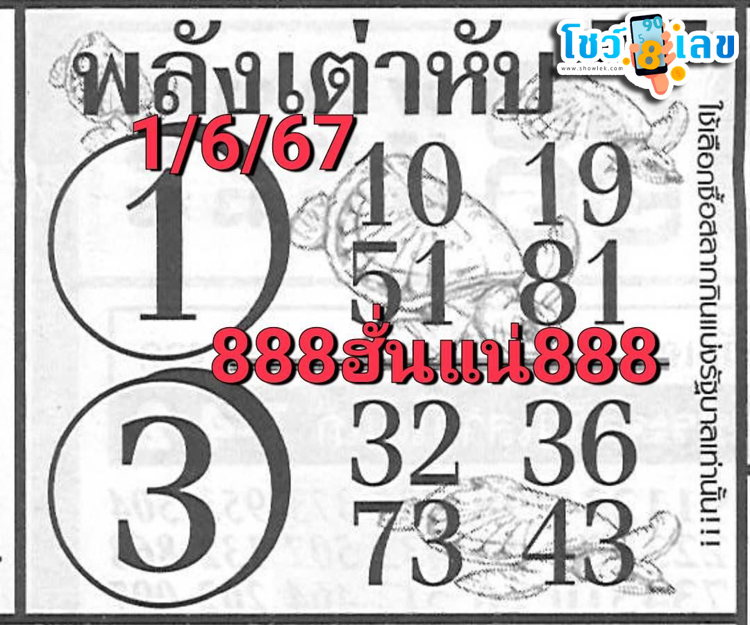 เลขพลังเต่าหับ 1 6 67-"Turtle's power number 1 6 67"