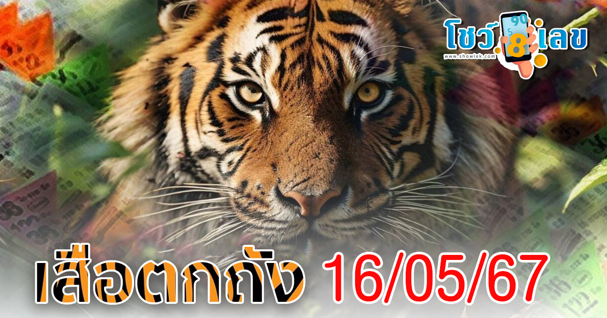 เสือตกถัง 16 5 67 คอหวยห้ามพลาดส่องเลขเด็ด! แม่นๆ แนวทางหวยรัฐบาลไทย!!