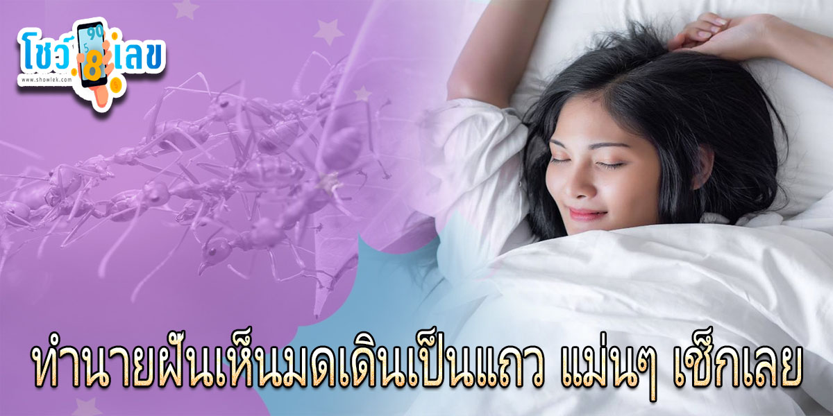 ฝันเห็นมดเดินเป็นแถว ทำนายว่าฝันอย่างไร ? พร้อมตีเลขเด็ด ตามความฝัน ดูคำทำนาย แม่น ๆ ได้ที่นี่ showlek