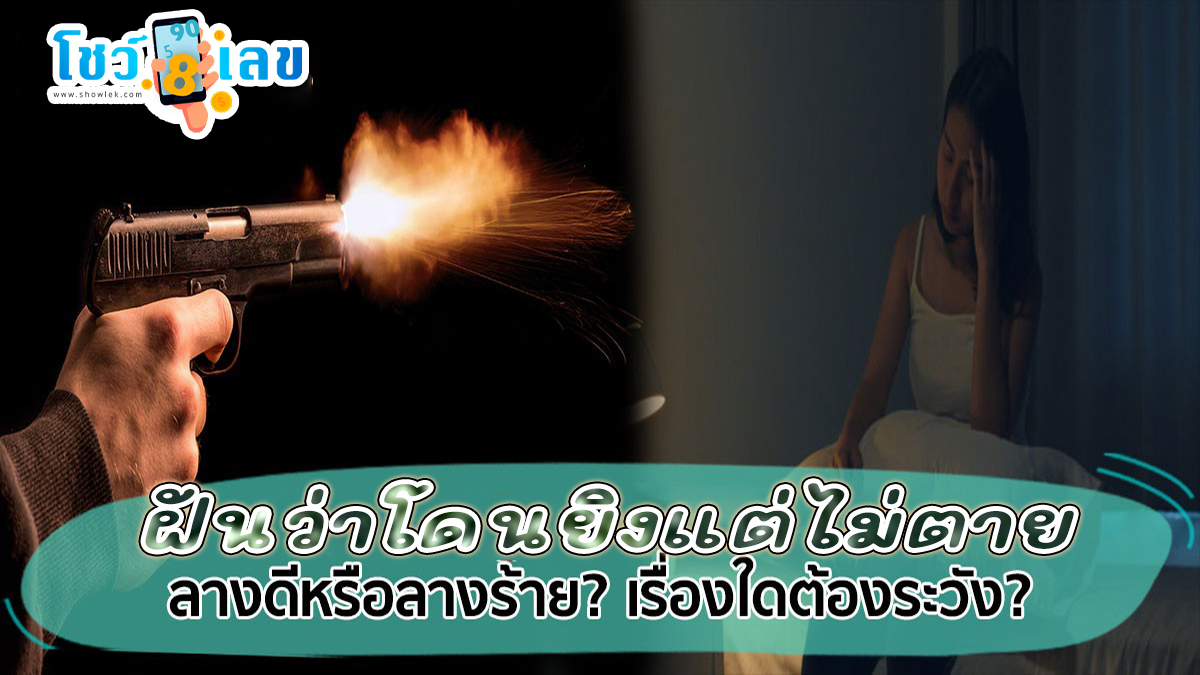 ฝันว่าโดนยิงแต่ไม่ตาย ทำนายว่าอย่างไร? พร้อมตีเลขเด็ด ตามความฝัน ดูคำทำนาย แม่น ๆ ได้ที่นี่ showlek