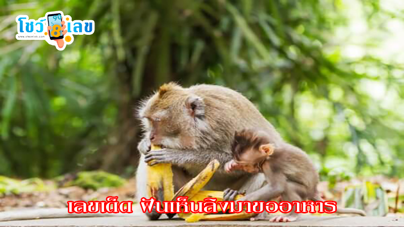 ฝันเห็นลิงตัวใหญ่ 1 ตัว-"Dreamed of seeing a big monkey"