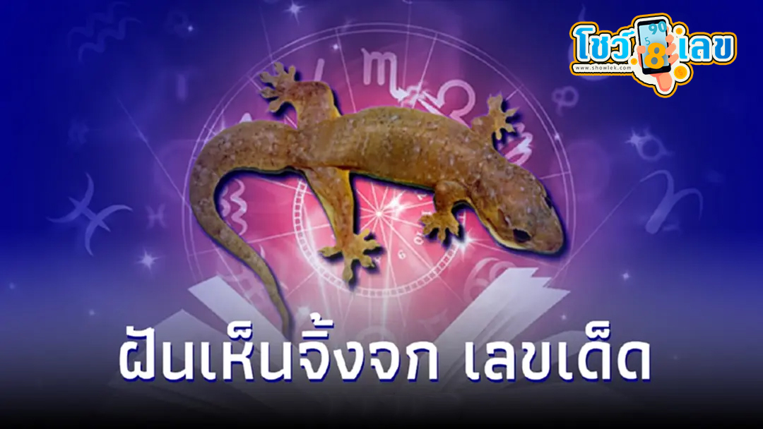 ฝันเห็นจิ้งจก -"Dream of seeing a lizard"