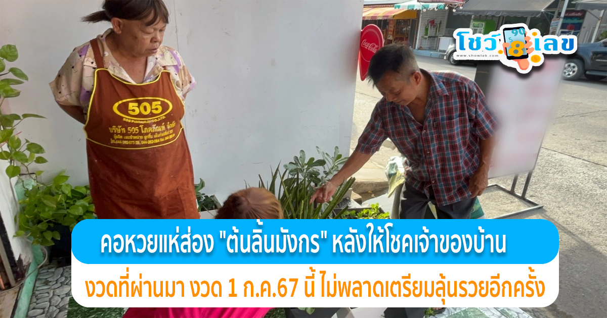 คอหวยแห่ ส่องเลข ต้นลิ้นมังกร ออกดอก หลังงวดที่แล้ว ให้โชคบ้านเลขที่ งวด 1 ก.ค. 67 เจ้าของบ้านเตรียน เลขเด็ด ลุ้นโชค แบบไม่กั๊กกันเลย