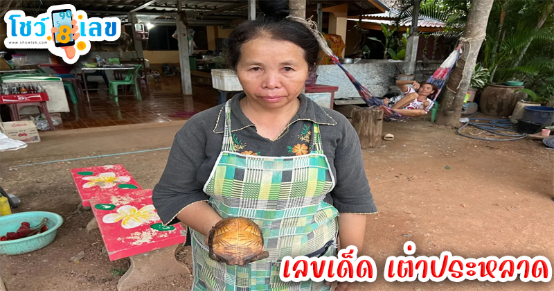 เลขเด็ด เต่าประหลาด-"Lucky number strange turtle"