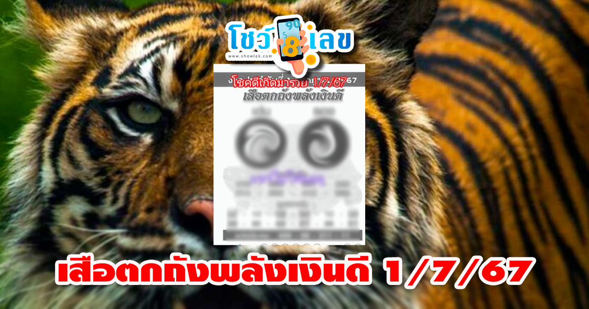 เสือตกถังพลังเงินดี 1 7 67 คอหวยห้ามพลาด กับแนวทางหวยรัฐบาลไทยแม่นๆ ติดตามเลขเด็ดออนไลน์ได้ ที่นี่ showlek.com