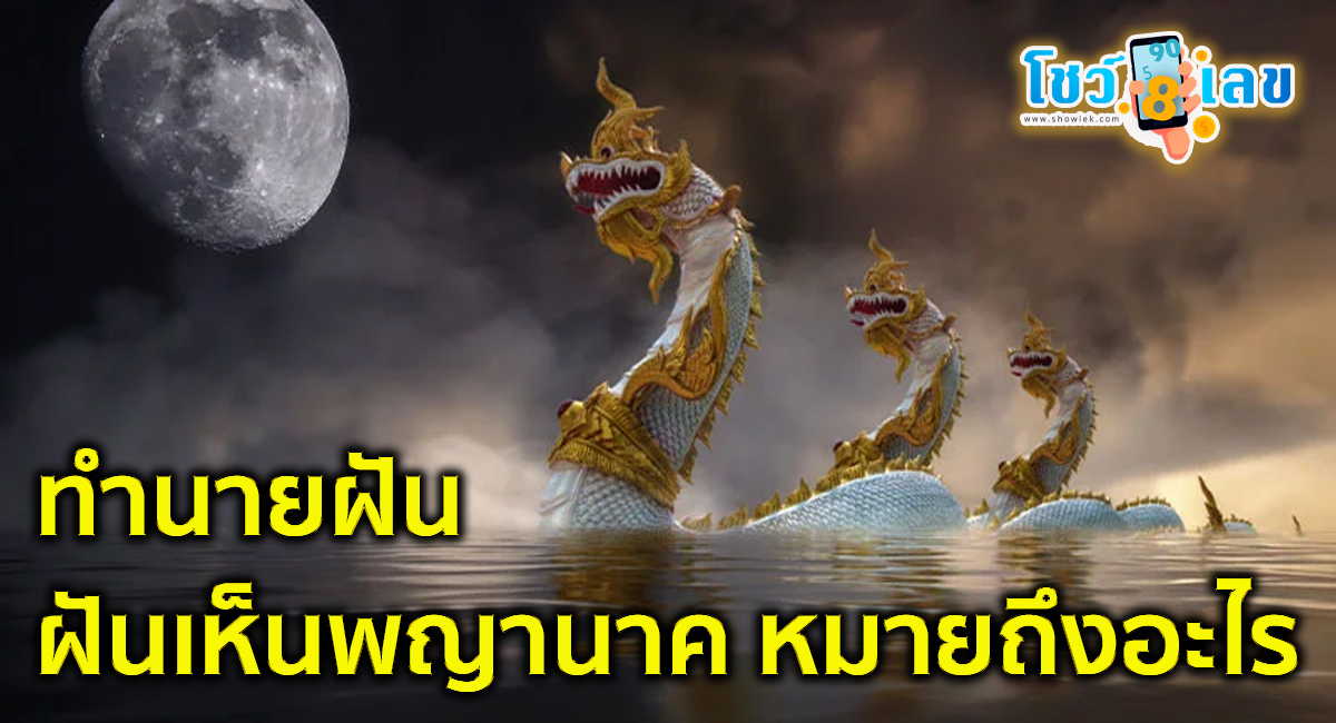 ฝันเห็นพญานาค หมายถึงอะไร มีคำทำนายฝันว่าอย่างไร พร้อมเลขเด็ดให้โชคแม่น ๆ ติดตามได้ที่นี่ showlek !!