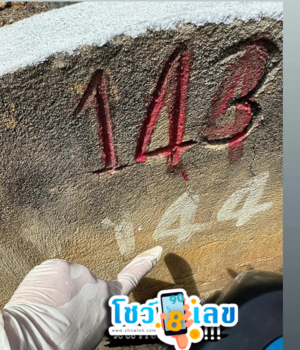ล้างป่าช้า 2567 -"Clean up the cemetery 2024"