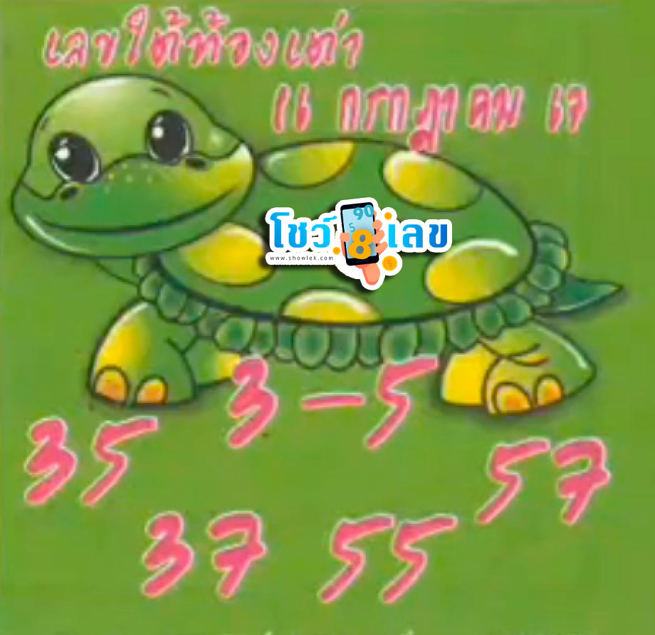 เลขใต้ท้องเต่า 16 7 67-"The number under the turtle's belly is 16 7 67."