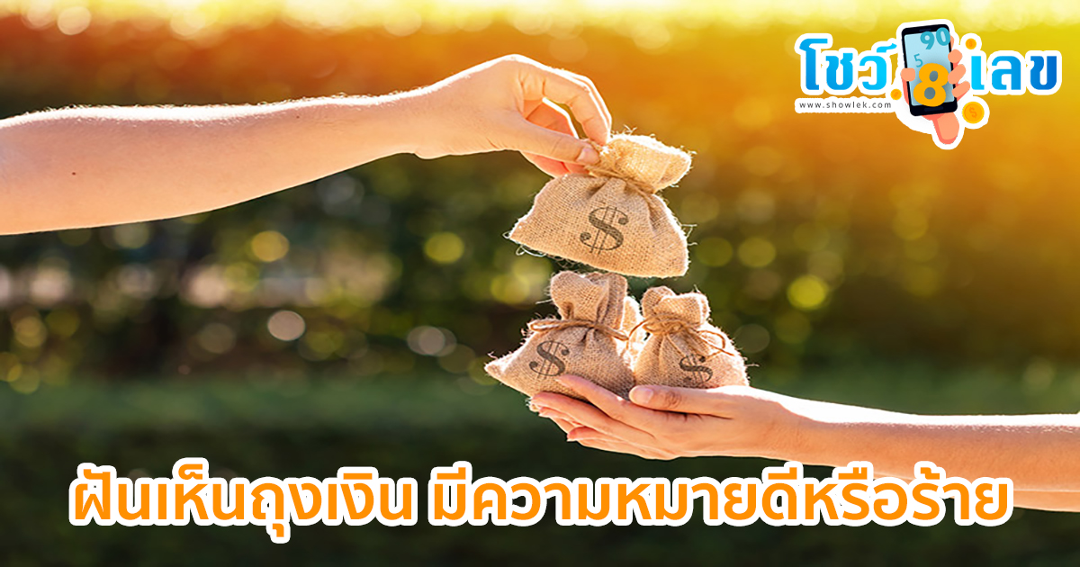 ทำนายความ ฝันเห็นถุงเงิน มีความหมายดีหรือร้าย พร้อมเลขเด็ดให้เสี่ยงโชค ติดตามได้ที่นี่ showlek !!