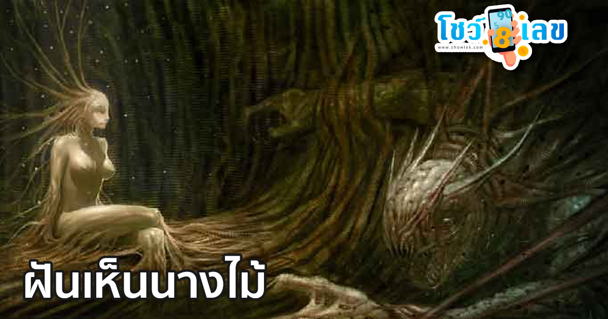 ฝันเห็นนางไม้ มีความหมายว่าอย่างไร จะมีผลด้านไหนบ้าง สามารถติดตามได้ที่นี่ showlek.com
