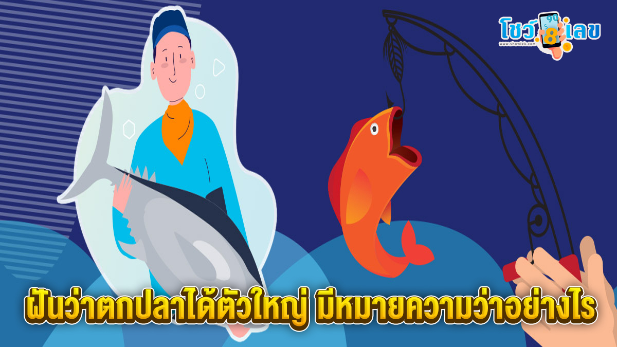 ฝันว่าตกปลาได้ตัวใหญ่ ทำนายฝันหมายความว่าอย่างไร บอกอะไรเราได้บ้าง? พร้อมส่องเลขเด็ดงวดนี้