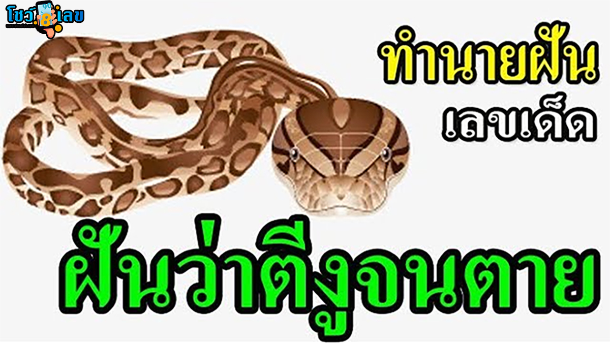 ฝันว่าตีงูตาย หมายความว่าอย่างไร พร้อมเลขเด็ด แม่นๆ ที่เกี่ยวกับความฝัน เช็กเลย !!