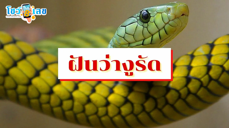 ฝันว่างูใหญ่รัดตัว-"Dreaming of a big snake corseting you."