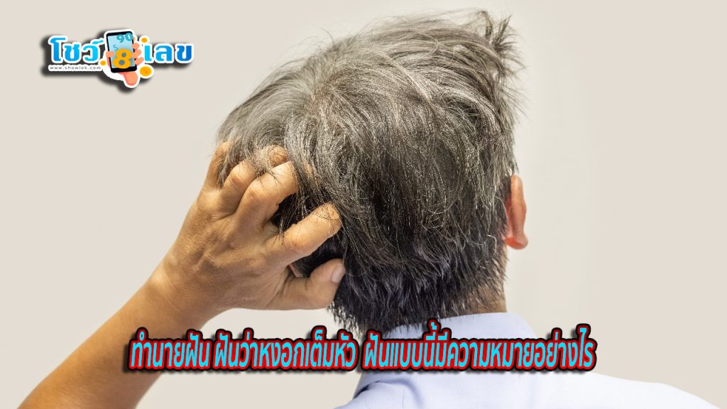 ฝันว่าหงอกเต็มหัว - "Dreaming of a head full. of gray hair"