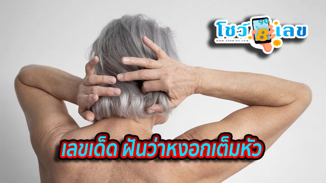 ฝันว่าได้ถอนผมหงอกเลขเด็ด - "Dreaming of pulling out gray hair, lucky number"