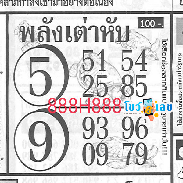 เลขพลังเต่าหับ 16 7 67-"Turtle power number 16 7 67"