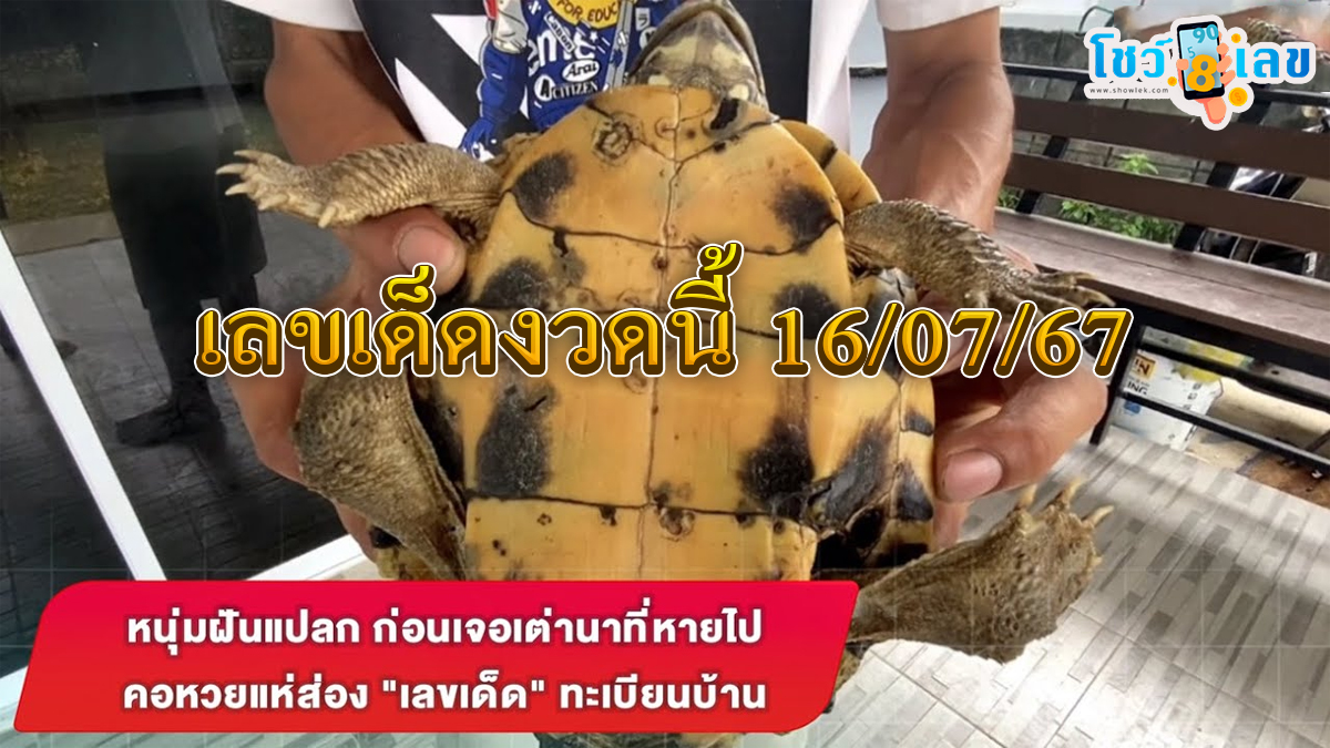 หนุ่มฝันแปลก ก่อนเจอเต่านาที่หายไป คอหวยแห่ส่อง “เลขเด็ด” ทะเบียนบ้าน เลขเด็ดงวดนี้ 16/07/67