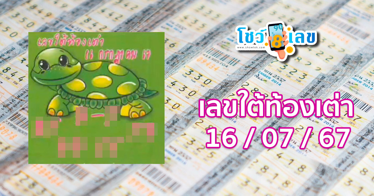 เลขใต้ท้องเต่า 16 7 67 แนวทางหวยรัฐบาลไทย คอหวยห้ามพลาด ! ติดตามเลขเด็ดได้ ที่นี่ showlek
