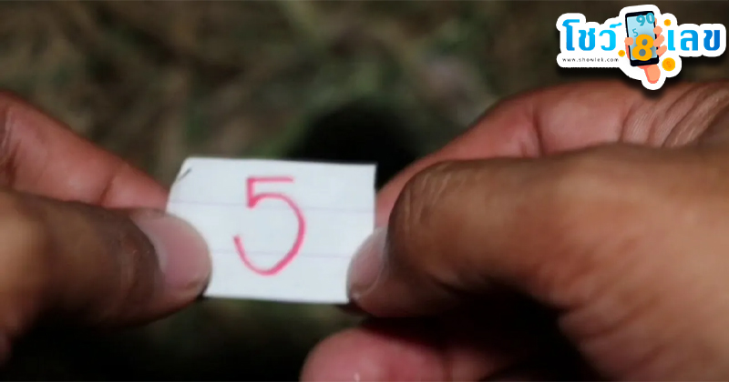 เลข งวดนี้-"This period's number"