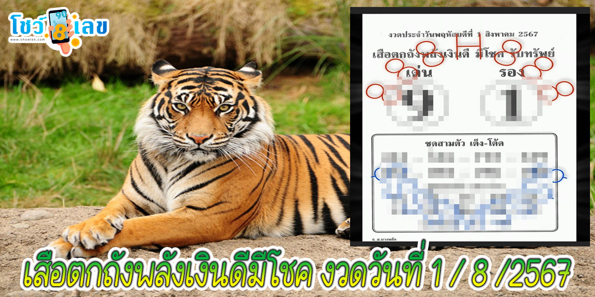 เสือตกถังพลังเงินดีมีโชค 1  8 67 แนวทางหวยรัฐบาลไทย คอหวยห้ามพลาด ! ติดตามเลขเด็ดได้ ที่นี่ showlek