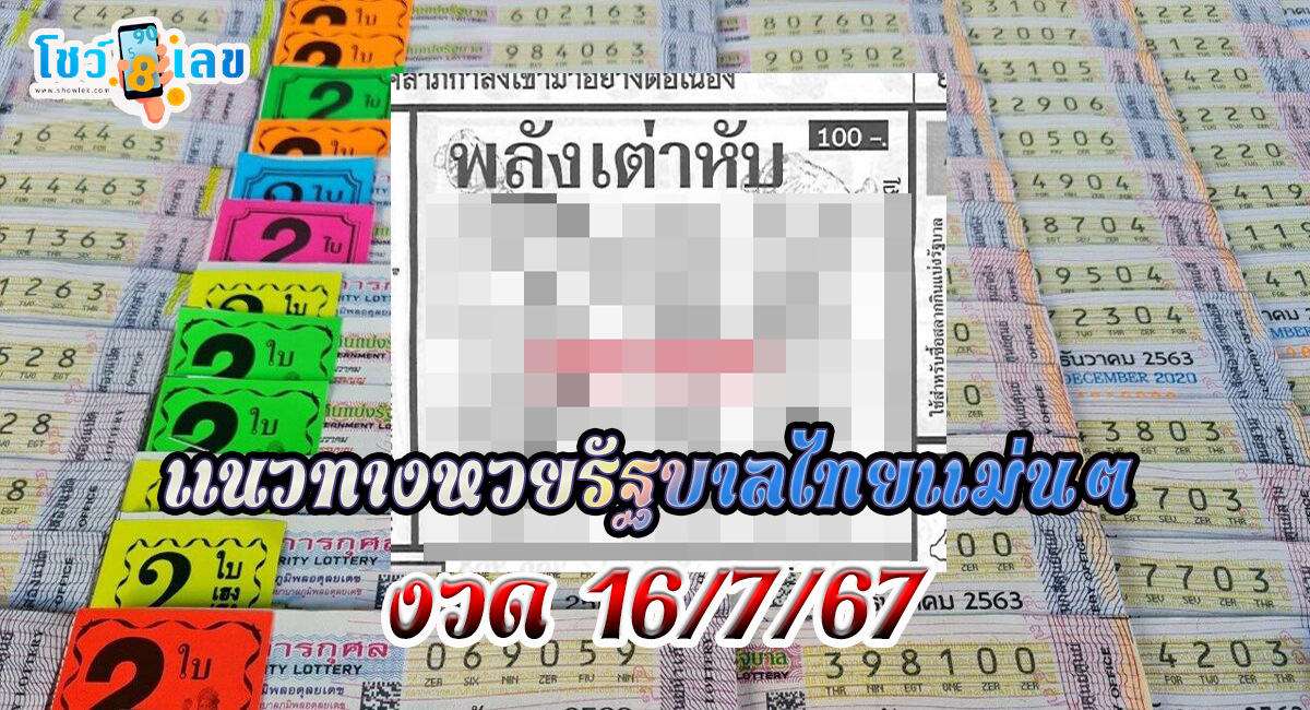 เลขพลังเต่าหับ 16 7 67 เลขเด็ดแนวทางหวยรัฐบาลไทย แม่นๆงวดนี้ ! ที่คอหวยไม่ควรพลาด