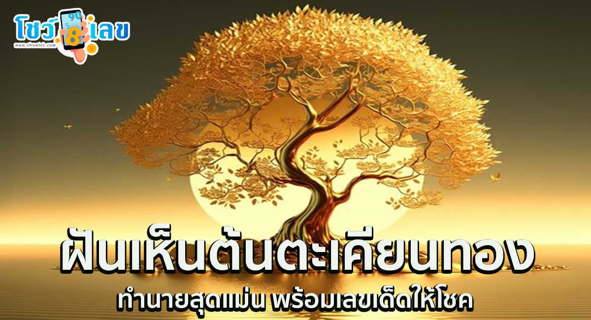 ฝันเห็นต้นตะเคียนทอง คำทำนายสุดแม่นยำ พร้อมเลขเด็ดให้โชค ติดตามได้ที่นี่ showlek !!