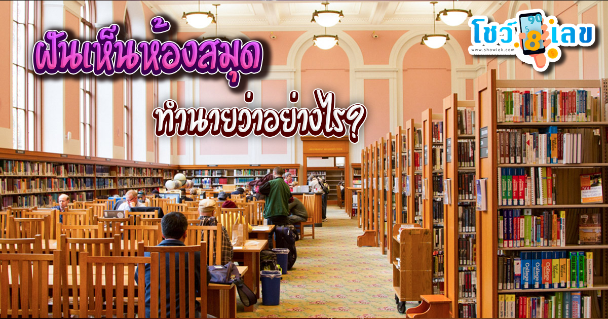 ฝันเห็นห้องสมุด ทำนายว่าอย่างไร? พร้อมเลขเด็ด แม่นๆ ที่เกี่ยวกับความฝัน เช็กเลย !