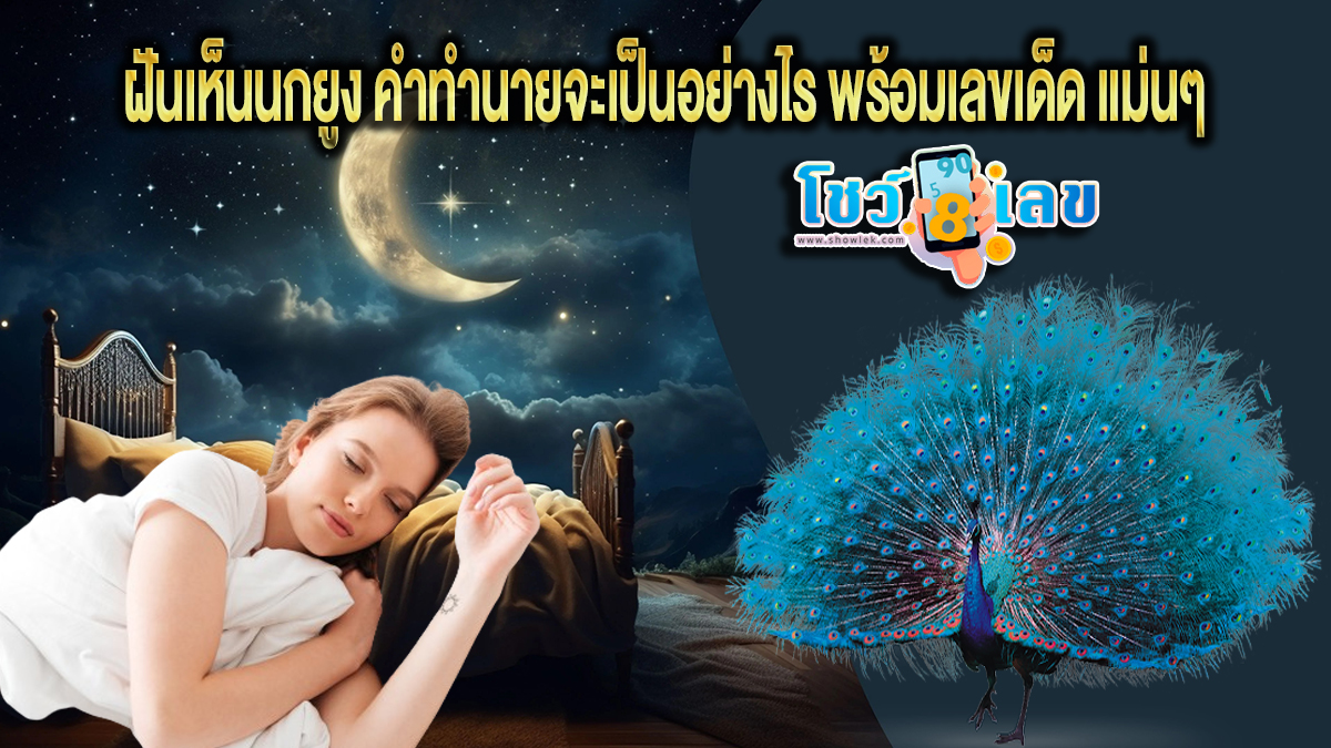เปิดคำทำนายฝัน ฝันเห็นนกยูง หมายความว่าอย่างไร พร้อมเลขเด็ด แม่นๆ ที่เกี่ยวกับความฝัน เช็กเลย!