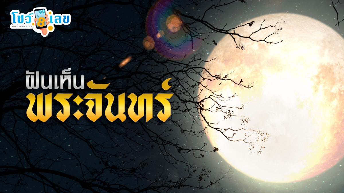 ฝันเห็นพระจันทร์ หมายความว่าอย่างไร พร้อมเลขเด็ด แม่นๆ ที่เกี่ยวกับความฝัน เช็กเลย!