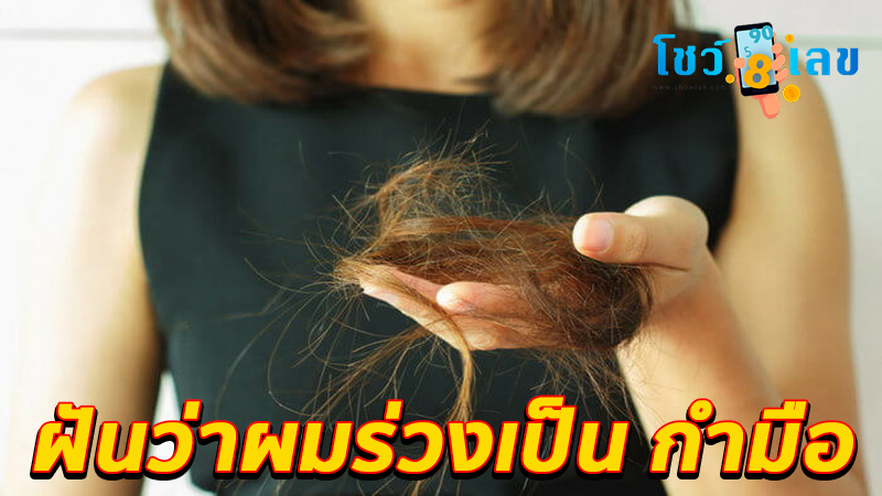 ฝันว่าผมร่วงเป็น กำมือ-"Dreamed that my hair fell out in handfuls."
