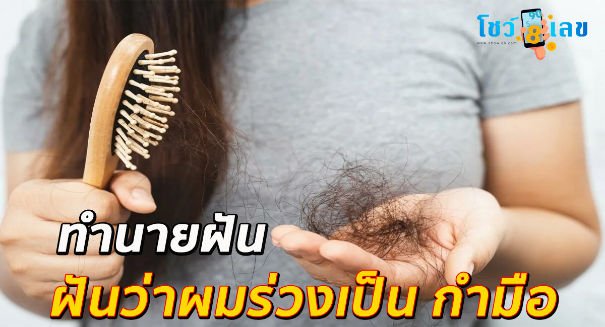 ฝันว่าผมร่วงเป็น กำมือ ทำนายสุดแม่นยำ พร้อมเลขเด็ดให้โชค ติดตามได้ที่นี่ showlek !!