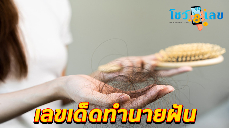 ฝันว่าผมขาดจนสั้น-"Dreamed that my hair was cut short."