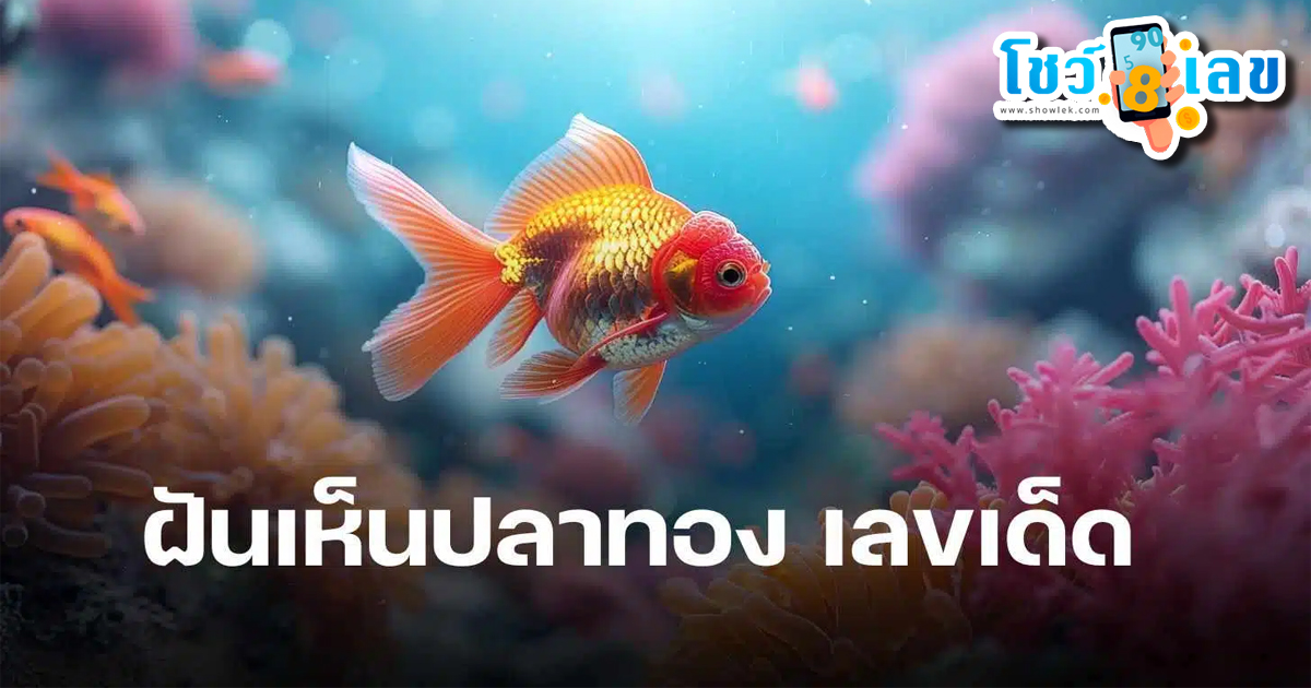 ฝันเห็นปลาทองหลายตัว เลขเด็ด-"Dreaming of seeing many goldfish, lucky numbers"