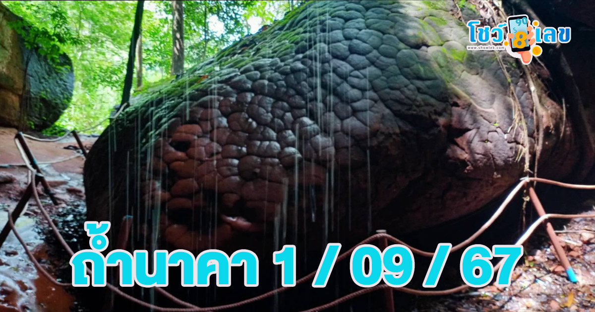 ส่องเลขเด็ดหวยดัง ! แม่นๆ แนวทางหวยรัฐบาลไทย คอหวยไม่ควรพลาดที่  showlek.com