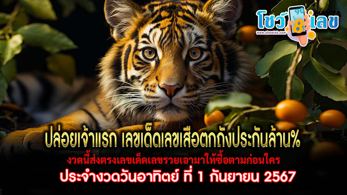 เลขเสือตกถังประกันล้าน% 1 9 67  แนวทางหวยรัฐบาลไทย คอหวยห้ามพลาดส่องเลขเด็ด! แม่นๆ ที่ Showlek!!
