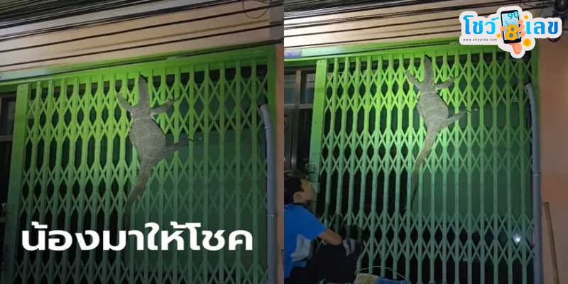 ส่องเลขที่บ้าน หนุ่มวัย 32 -"Check out the house number of a 32-year-old man."