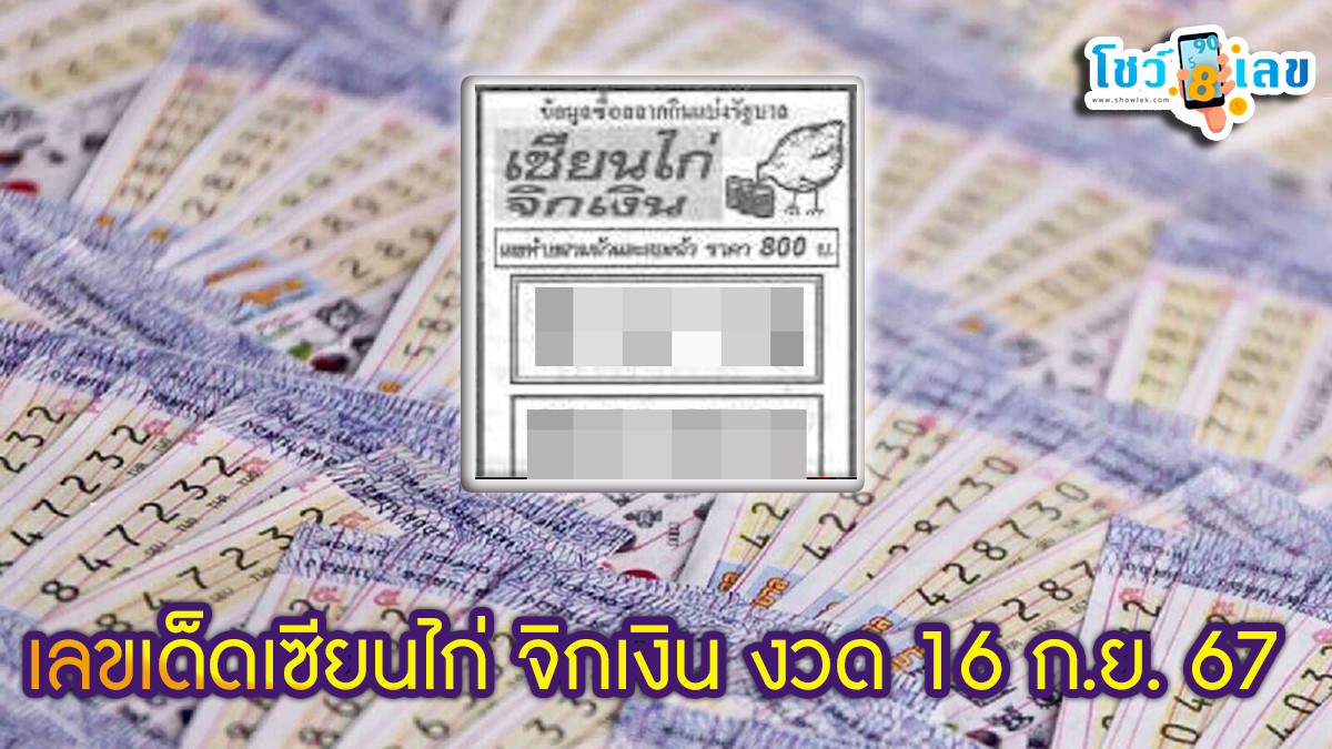 เซียนไก่ จิกเงิน 16 9 67 แนวทางหวยรัฐบาลไทย !! ติดตามเลขเด็ด เเม่นๆ ก่อนใคร ได้ที่นี่ showlek.com