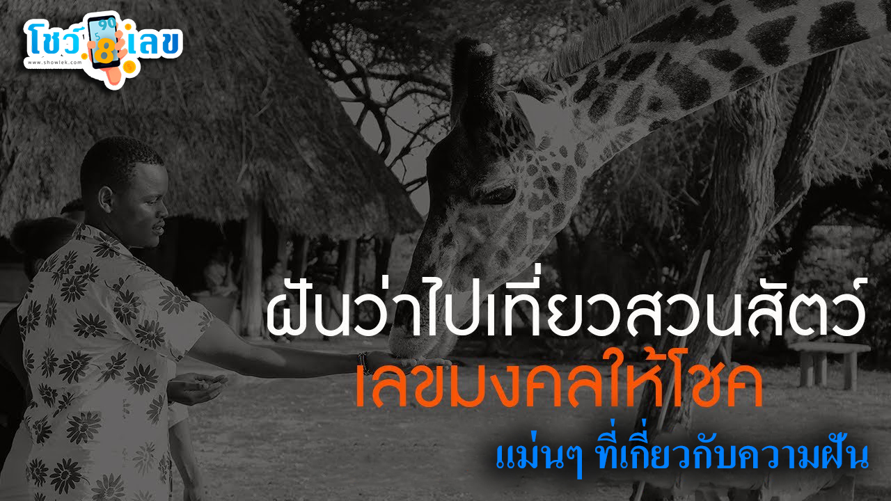 ฝันว่าไปเที่ยวสวนสัตว์ -"Dreamed of going to the zoo"