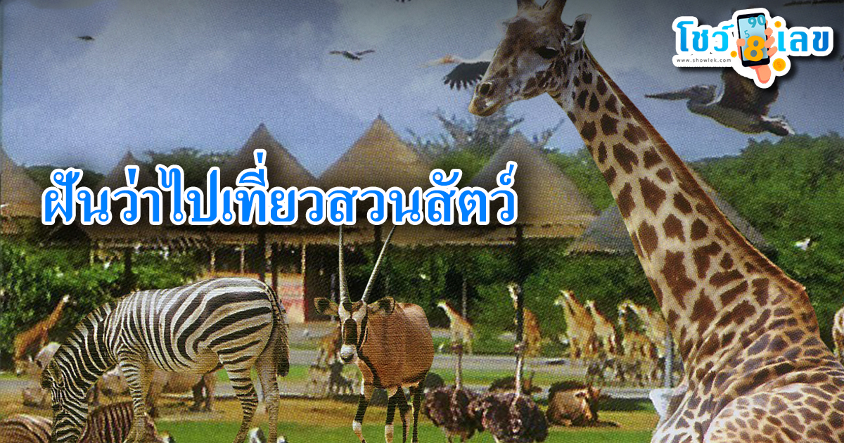 ฝันว่าไปเที่ยวสวนสัตว์ ทำนายว่าอย่างไร? พร้อมเลขเด็ด แม่นๆ ที่เกี่ยวกับความฝัน เช็กเลย !