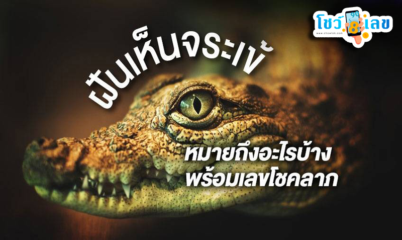 ฝันว่าโดนจระเข้ไล่กัด -"Dreaming about being chased and bitten by a crocodile."