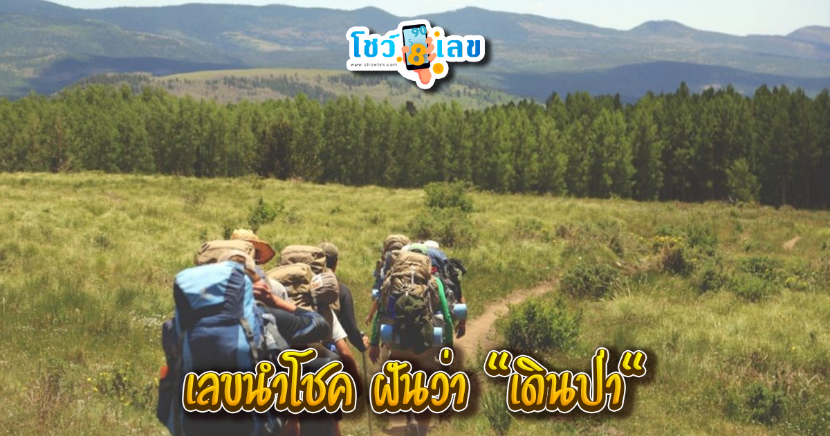 ฝันว่าเดินป่ากับเพื่อน-"Dreaming about hiking with friends"