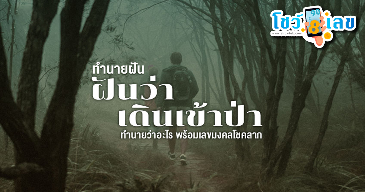 ฝันว่าเดินป่า ทำนายว่าอย่างไร? พร้อมเลขเด็ด แม่นๆ ที่เกี่ยวกับความฝัน เช็กเลย !