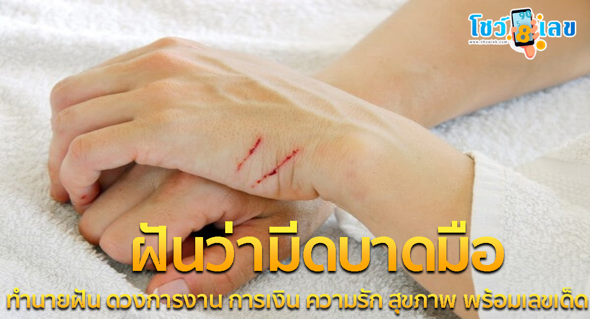 ฝันว่ามีดบาดมือ ทำนายฝัน ดวงการงาน การเงิน ความรัก สุขภาพ พร้อมเลขเด็ด ติดตามได้ที่นี่ showlek !!