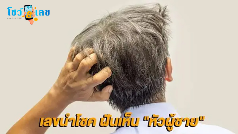 ฝันเห็นแต่หัวคน-"Dreaming of seeing only human heads"